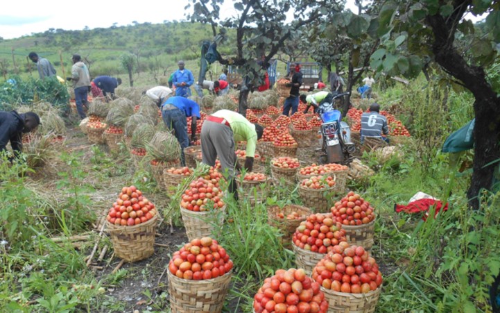 Vie Rurale Authentique